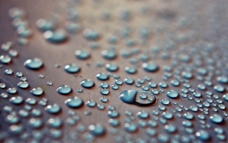 dew-rain-raindrops-drops-of-water
